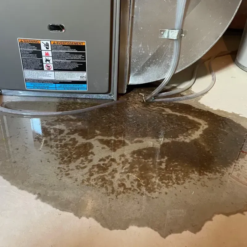 Appliance Leak Cleanup in West, TX